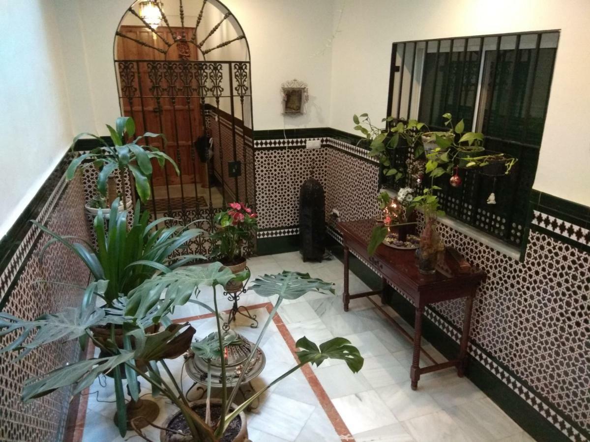Oasi Macarena Apartment Seville Exterior photo